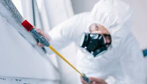 Pest Control for Hotels in Redondo Beach, CA